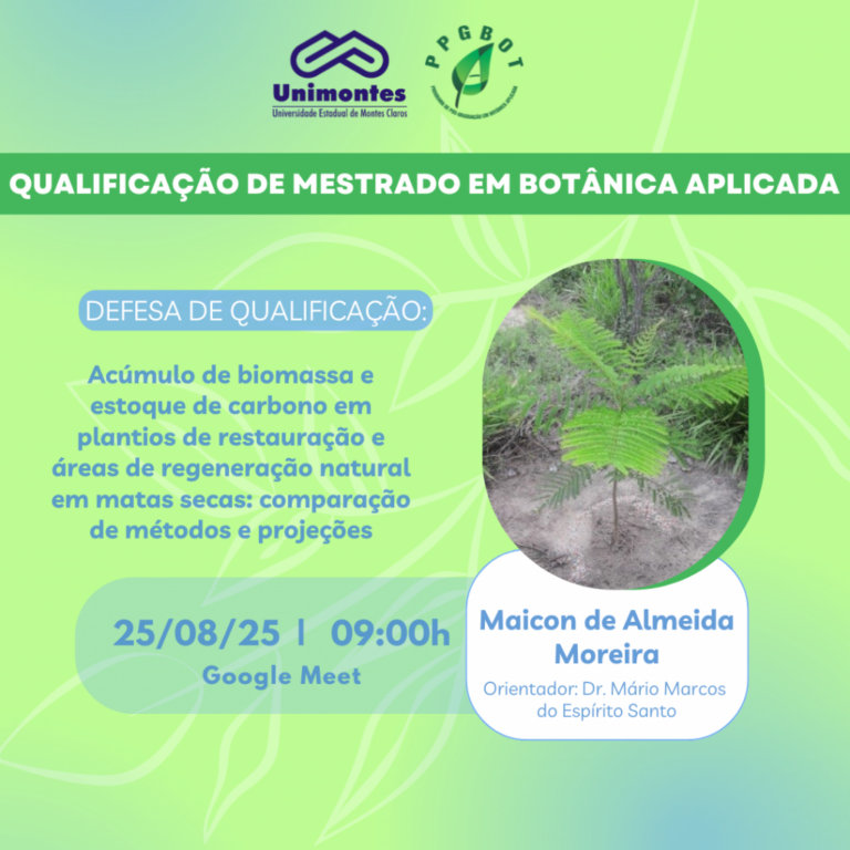 Defesa de Qualificação