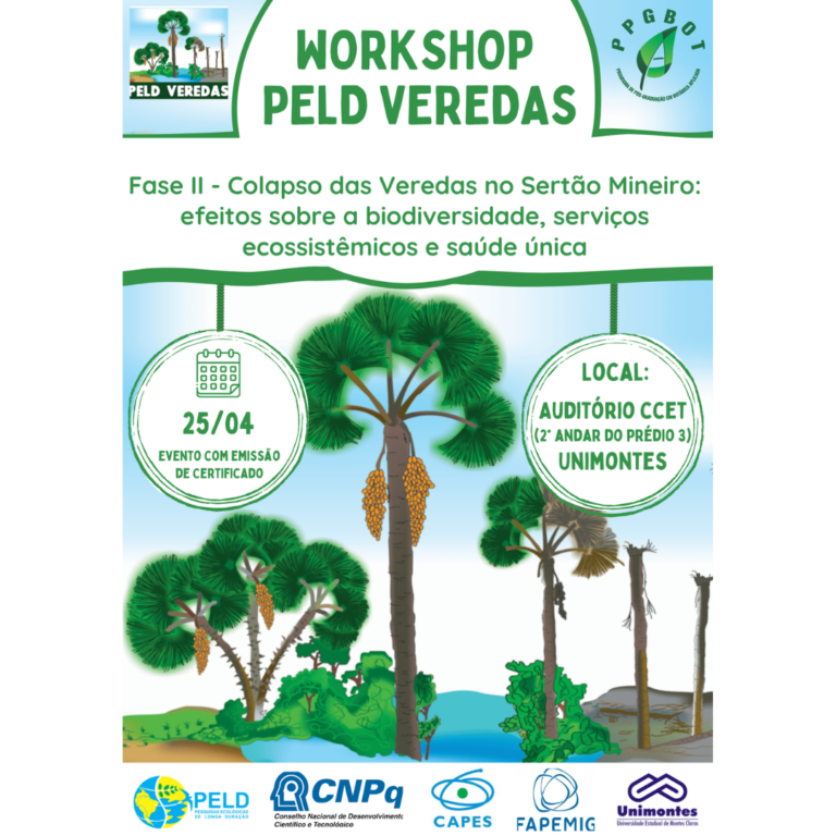 WORKSHOP PELD VEREDAS