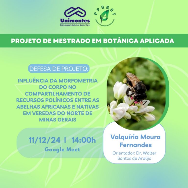 DEFESAS DE PROJETOS DE MESTRADO
